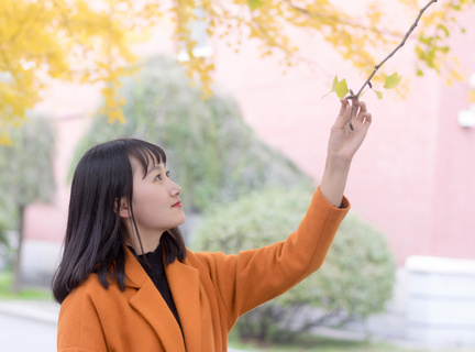 “大粮仓”黑龙江：丰收节上看“丰”景