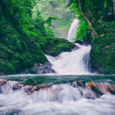 荒山变林海 生态效益足（美丽中国）