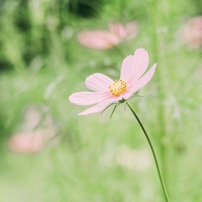 北京将建库容10万株微生物菌种库