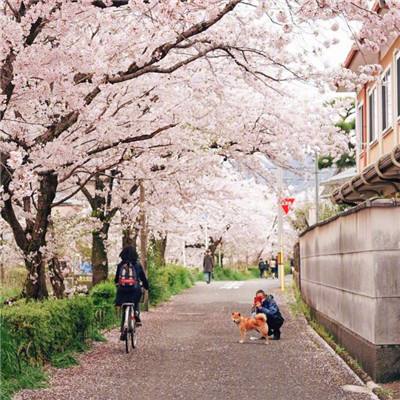 三峡集团发布《践行绿色低碳生活 共建人类美丽家园》倡议