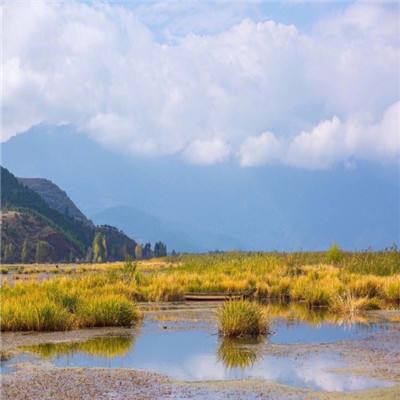 第三届家装产业供需链大会和第五届住宅装饰装修行业T20峰会举办