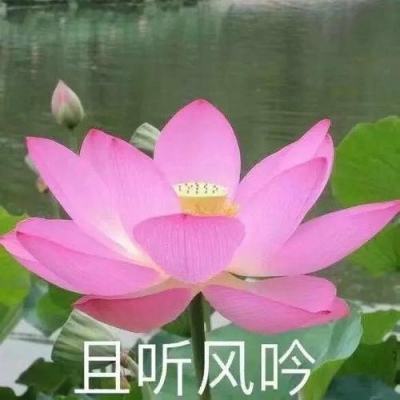 北京：公休日和法定节假日部分公交专用道允许社会车辆通行