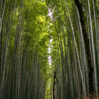 习近平在全国教育大会上发表重要讲话代表党中央向全国广大教师和教育工作者致以节日祝贺和诚挚问候