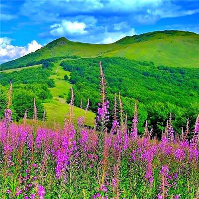 激发青年才俊投身海洋强国建设第十八届中国（象山）海洋论坛举办